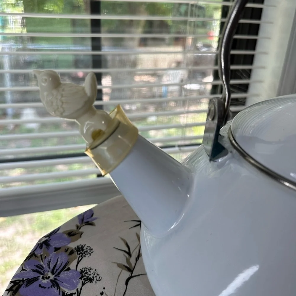 Vintage Enamel Kettle